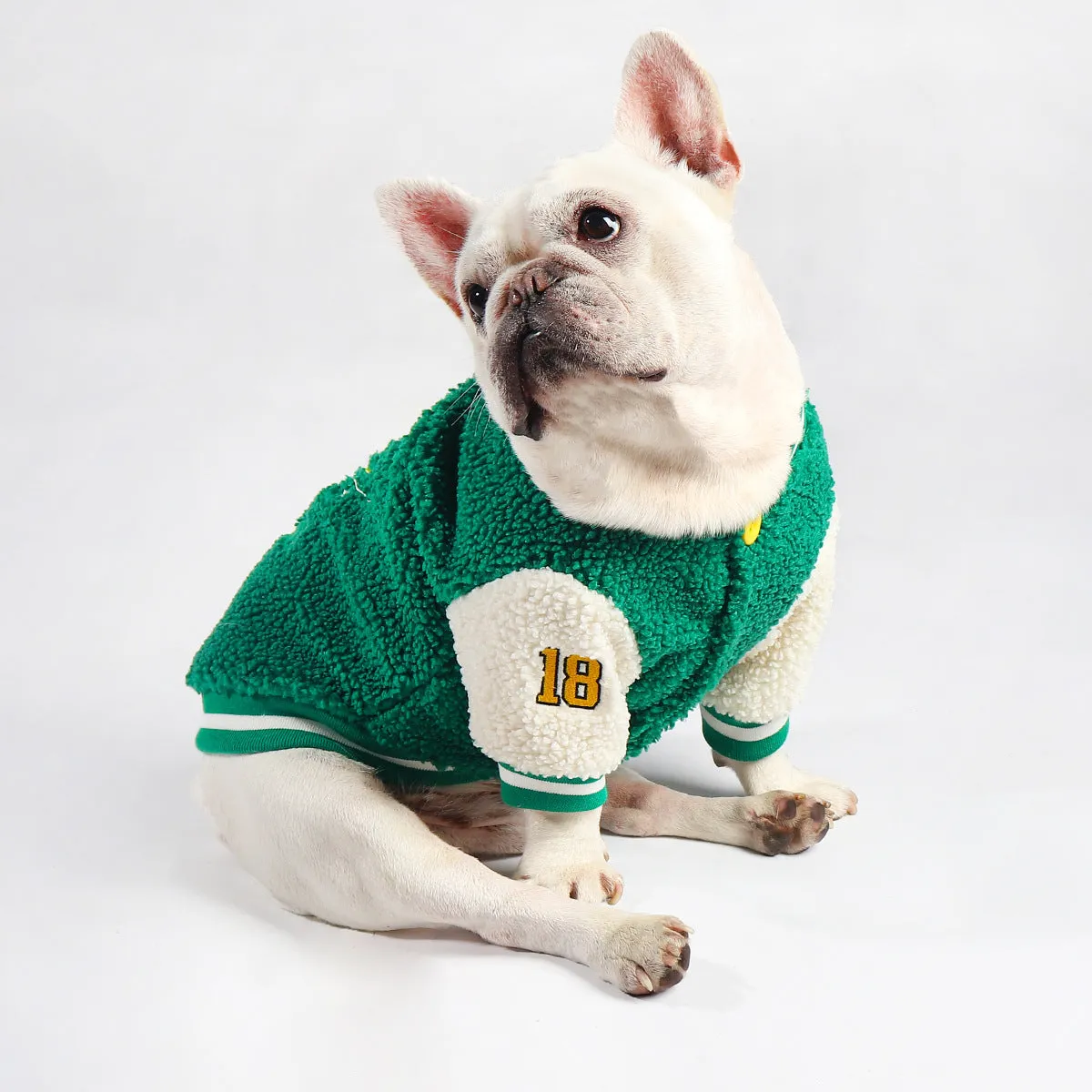 ChicPup Warm Frenchie Baseball Jacket Soft Fleece Dog Sweater for French Bulldogs