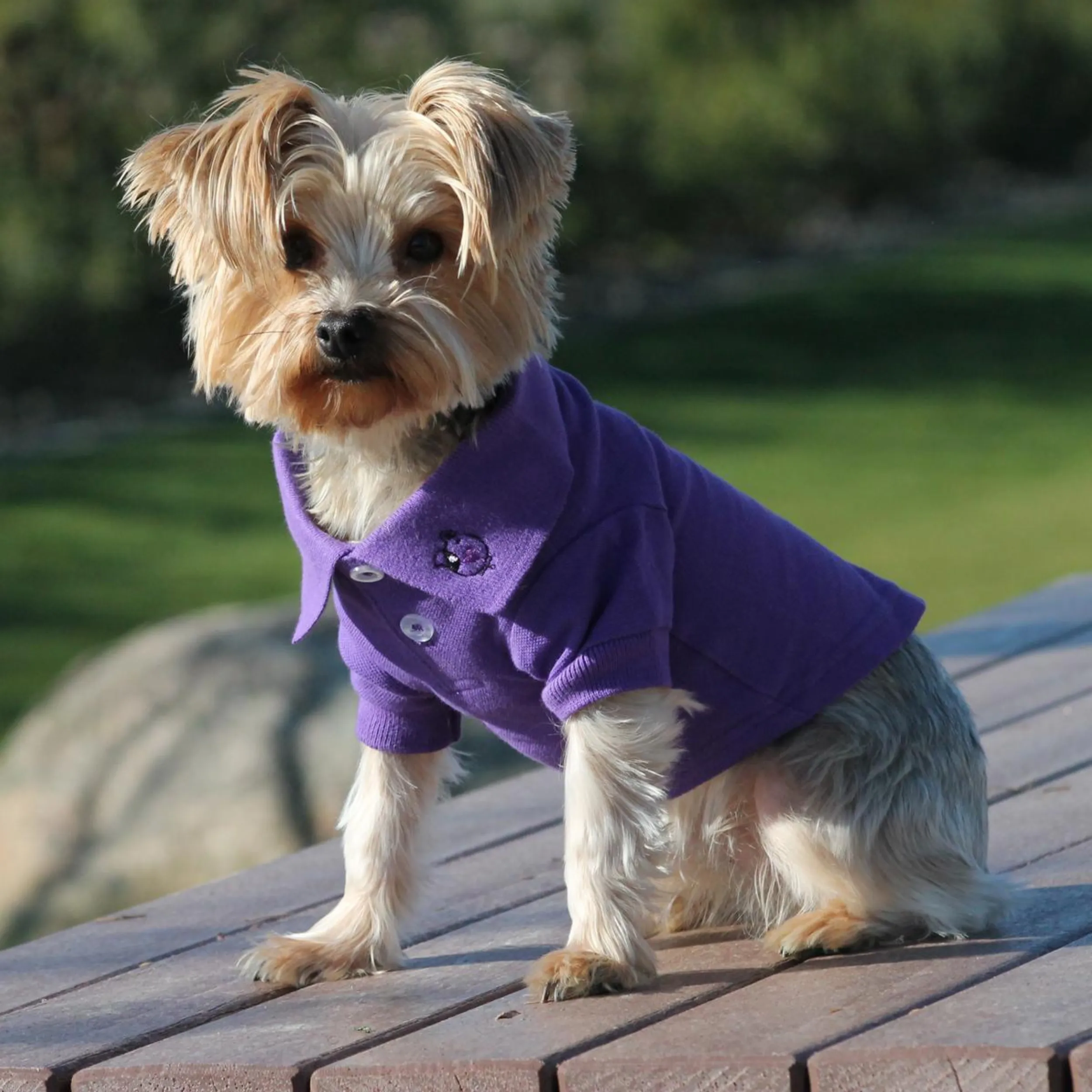 Polo Shirt | Ultra Violet